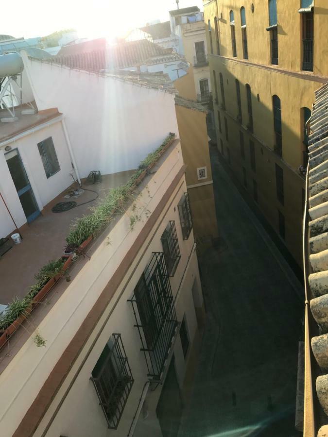 Apartamento En El Centro Para 4 Personas Sevilla Dış mekan fotoğraf
